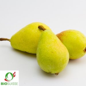 Poirier colonnaire Concorde – poire jaune juteuse et parfumée, idéal pour jardin étroit, terrasse ou culture en bac