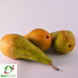 Poire Conférence bio allongée, jaune-vert, très juteuse et sucrée, dans un verger naturel