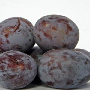 Pruneautier Fellenberg